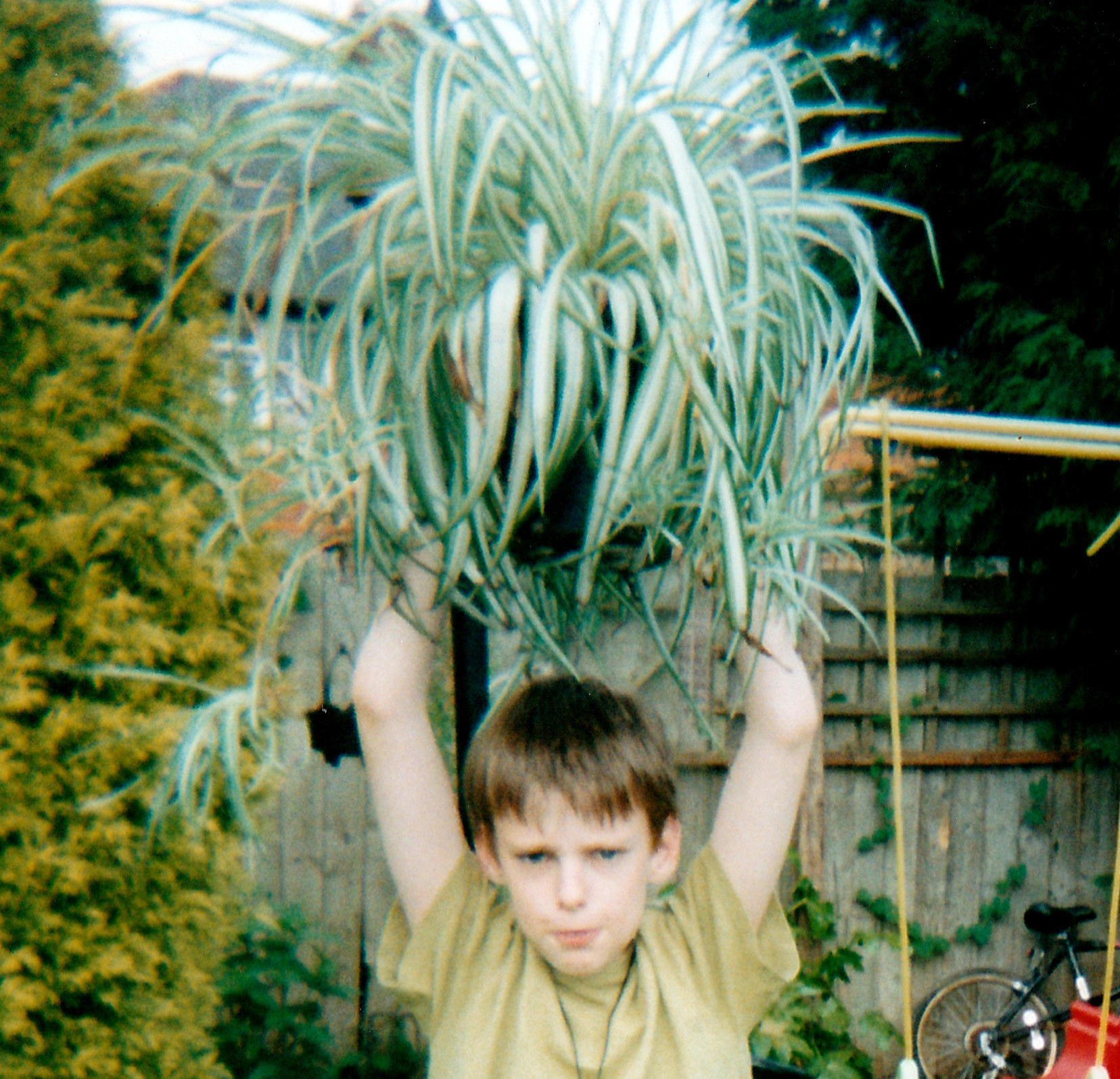 Adam holding spider plant