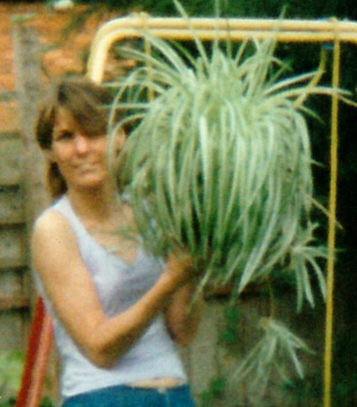 mom holding a big spider plant