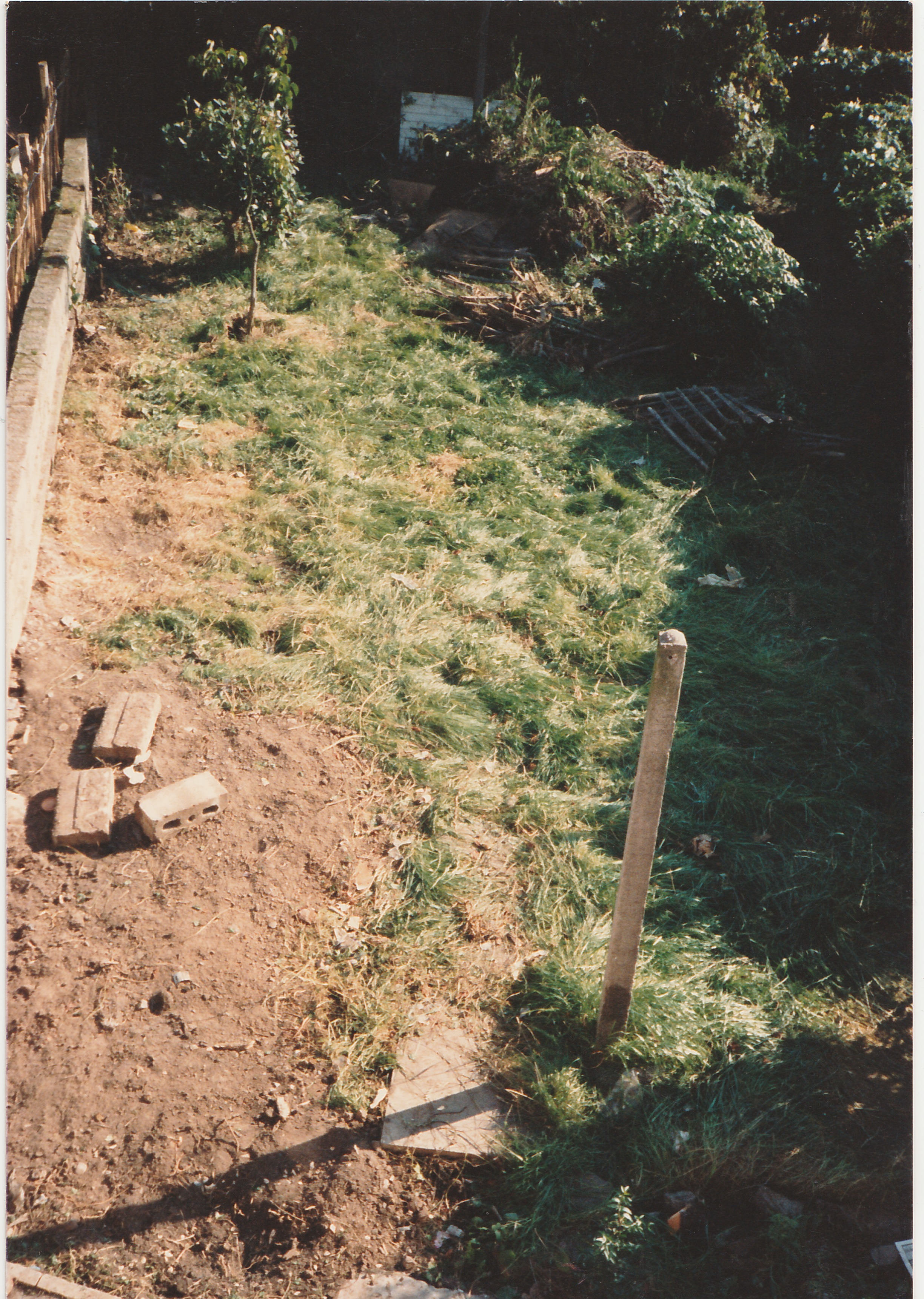 1988 circa the back garden at 9 ashmead grove